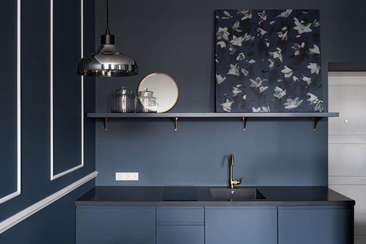 Апартаменты Old town spacy apartment Вильнюс-14